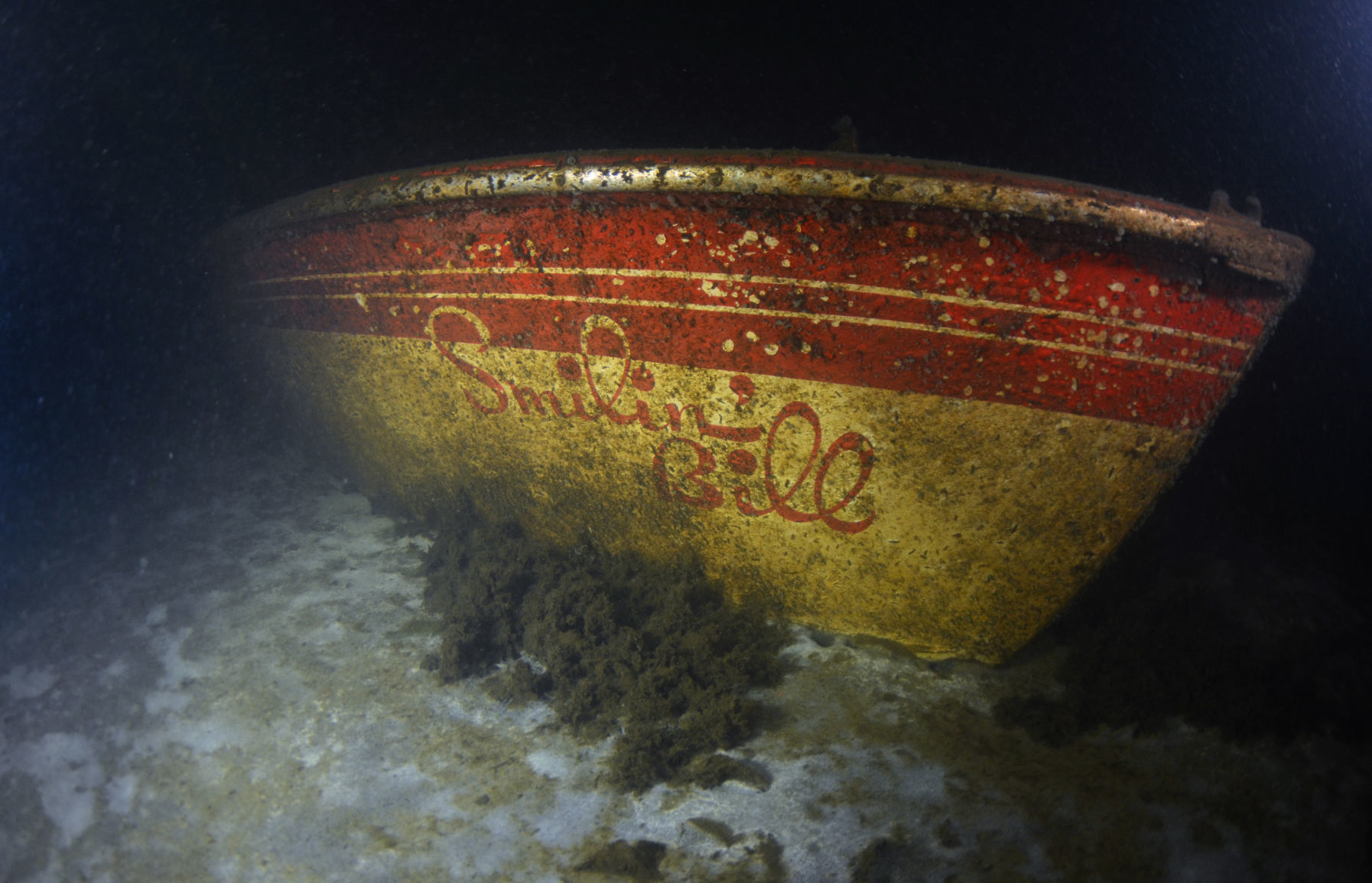 Smilin' Bill wreck